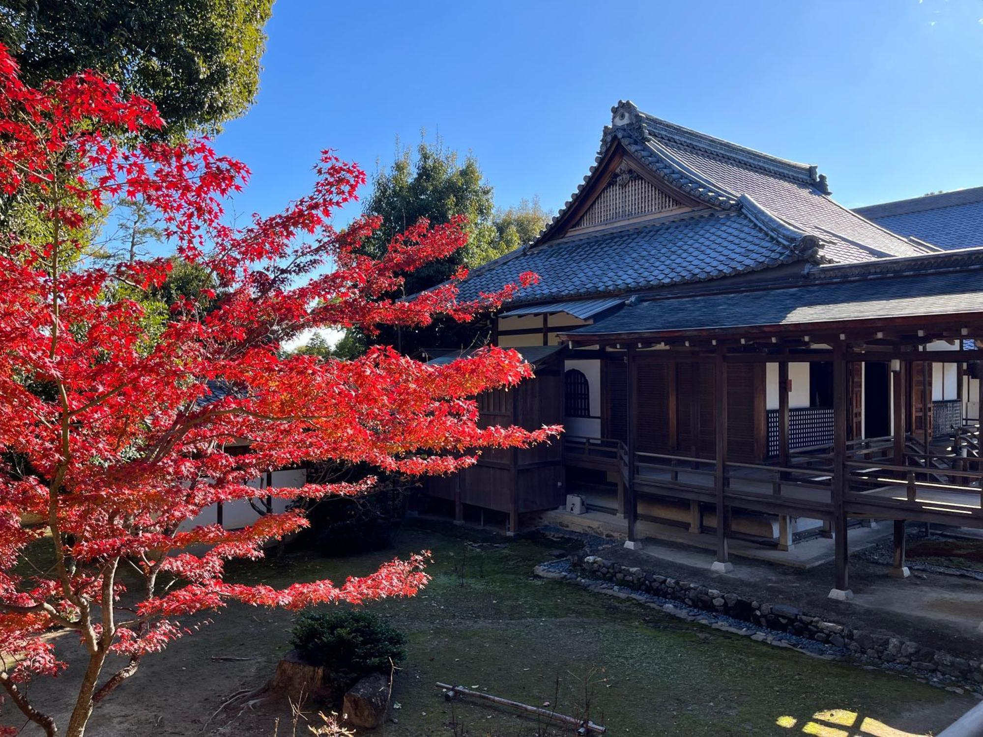 嵐山 天龍の宿 駐車無料 一棟貸切 最大5人 Dragon Legend Arashiyama Central Private Rare Modern Villa Free Parking Max 5Ppl Shimo-saga Exterior foto